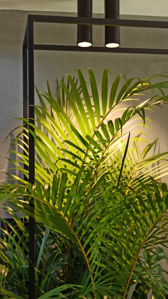 Casa J&A – detail of illuminated vegetation